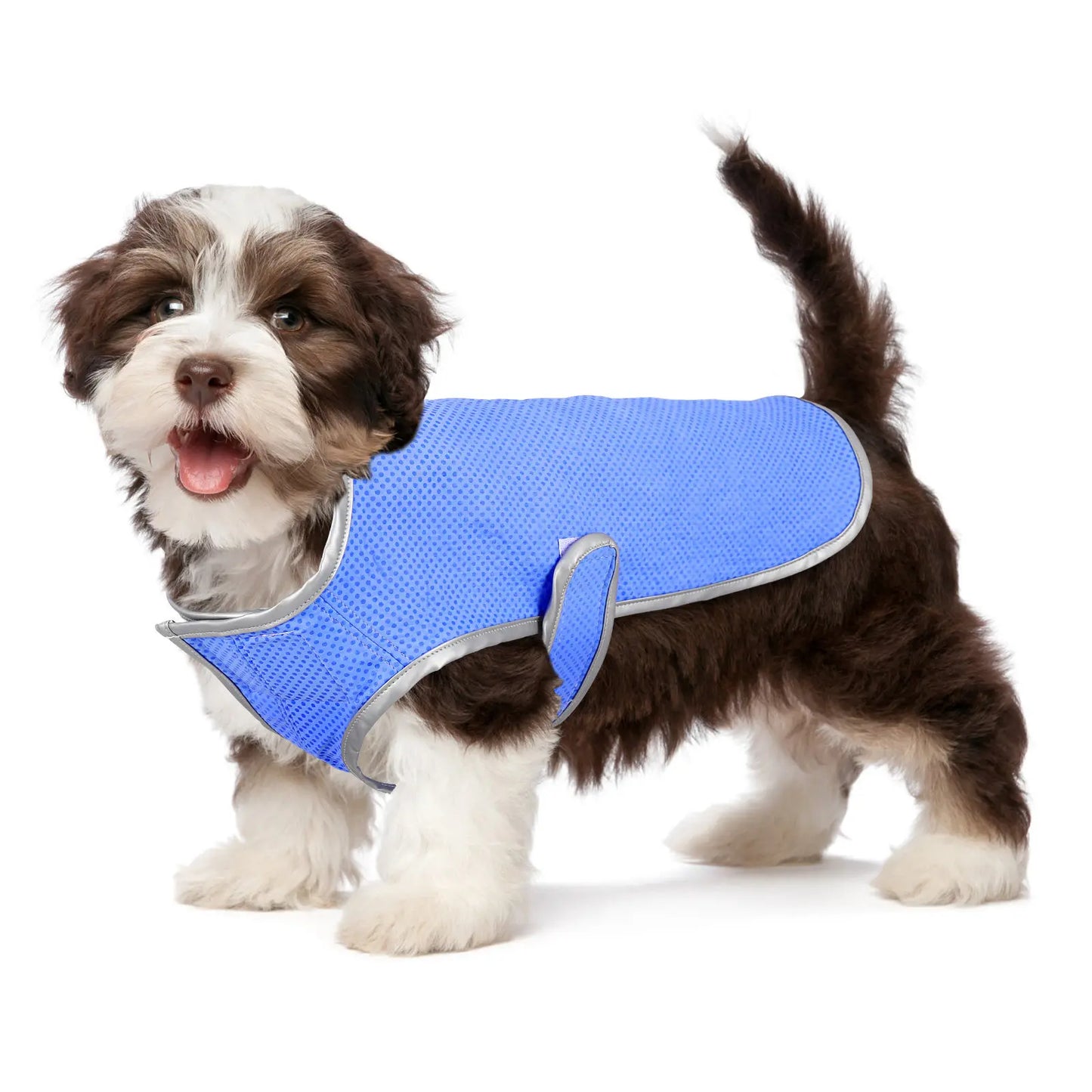 Dog Cooling Vest Puppy Cooling Waistcoat Size S Lightweight Pva Technology Comfortable Breathable Pet Supply Shirt Peaceful Pleasures Health and Wellness