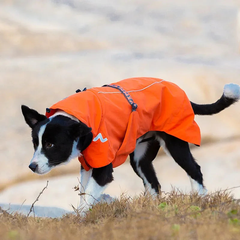 TRUELOVE Pet Clothing Waterproof Windbreaker Detachable Jacket Clothes for Dogs Fashion Patterns Soft Pet Raincoat Coat YG1872 Peaceful Pleasures Health and Wellness