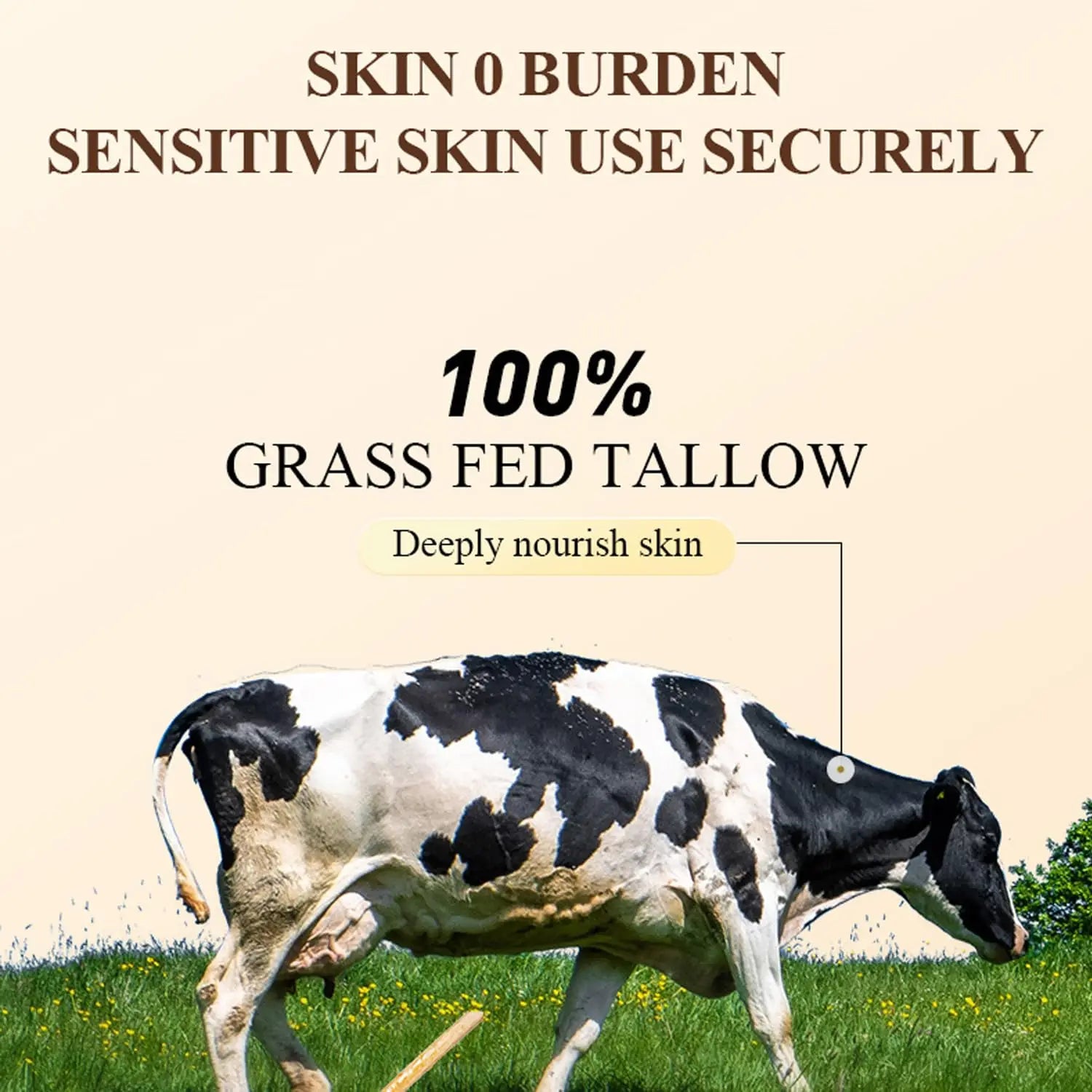 60g Beef Tallow Paste For Skin Care Beef Neck Balm Grass Fed Tallow Wild Honey Skin Moisturizer Face And Body Peaceful Pleasures Health and Wellness