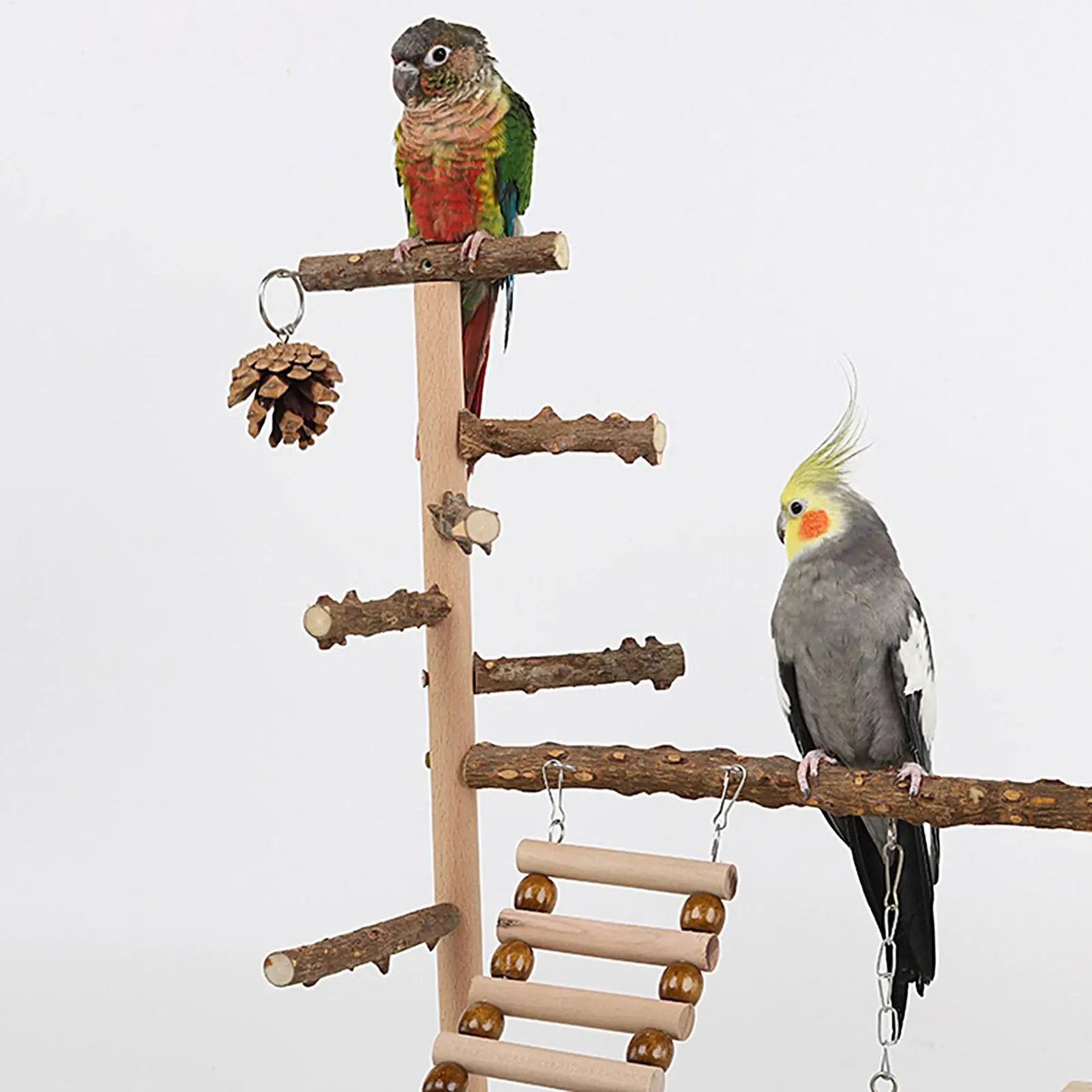 Wooden Bird Playstand Perch | Cockatiel Conure Lovebird Gym Bird Playstand Peaceful Pleasures Health and Wellness
