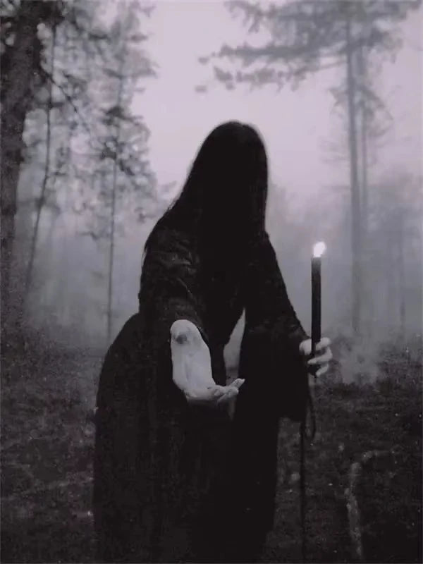 AA Dark Academia Art Black Death Poster Prints For Living Room Home Decor Nordic Gothic Horror Witch Canvas Painting Wall Art Peaceful Pleasures Health and Wellness