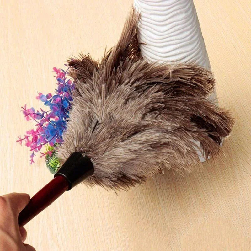 Wooden Handle Ostrich Feather Duster Home Anti-static Dust Removal
