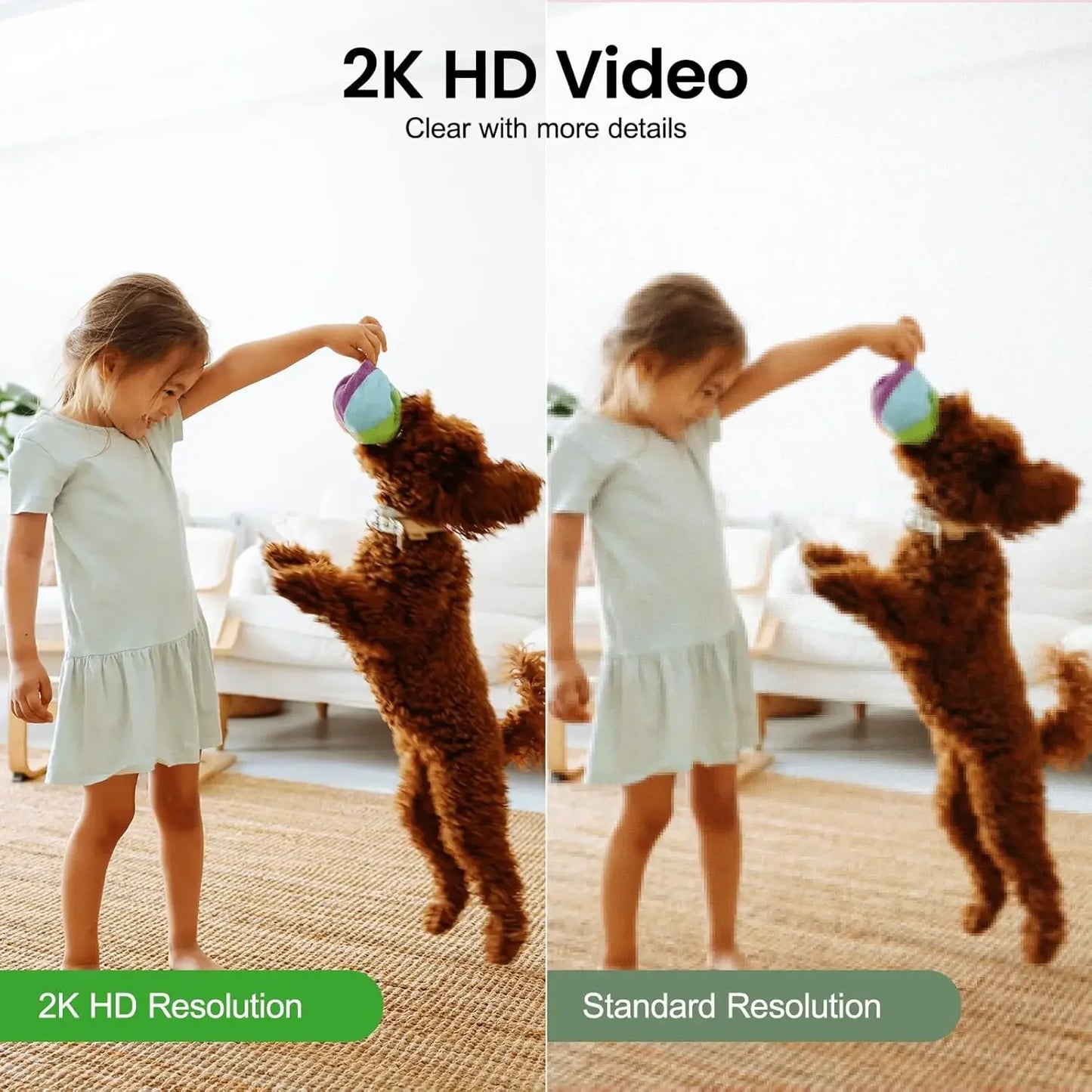 2K Indoor Security Camera with 360° View, Motion Alert, Alexa/Google Home Compatible, 2-Pack for Home Monitoring Peaceful Pleasures Health and Wellness