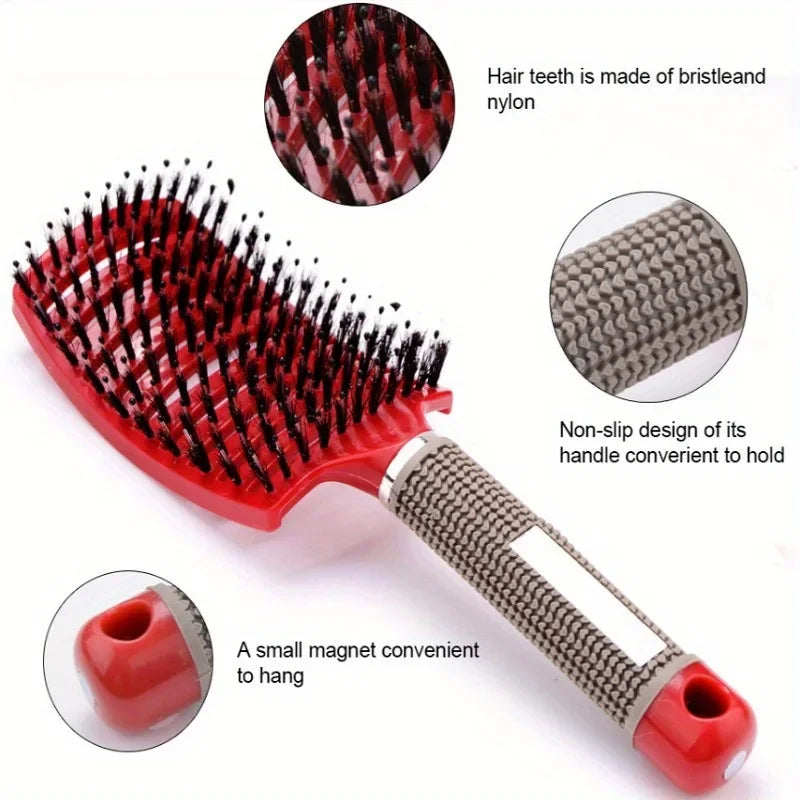 Multi-Color Scalp Massage Comb | Wet & Curly Hair Tool