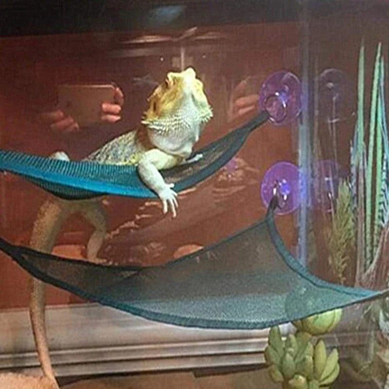 Reptile Hammock Lounger & Ladder Set – Geckos, Lizards & Snakes Reptile Habitat Accessory Peaceful Pleasures Health and Wellness