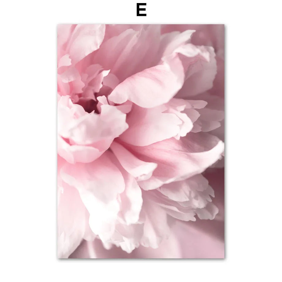 1pc frameless Canvas painting Spring Pink Rose Peony Sakura Dandelion Orchid Sparrow Car Garden Posters Flower Wall Art Canva Peaceful Pleasures Health and Wellness E 50x70cm Unframed
