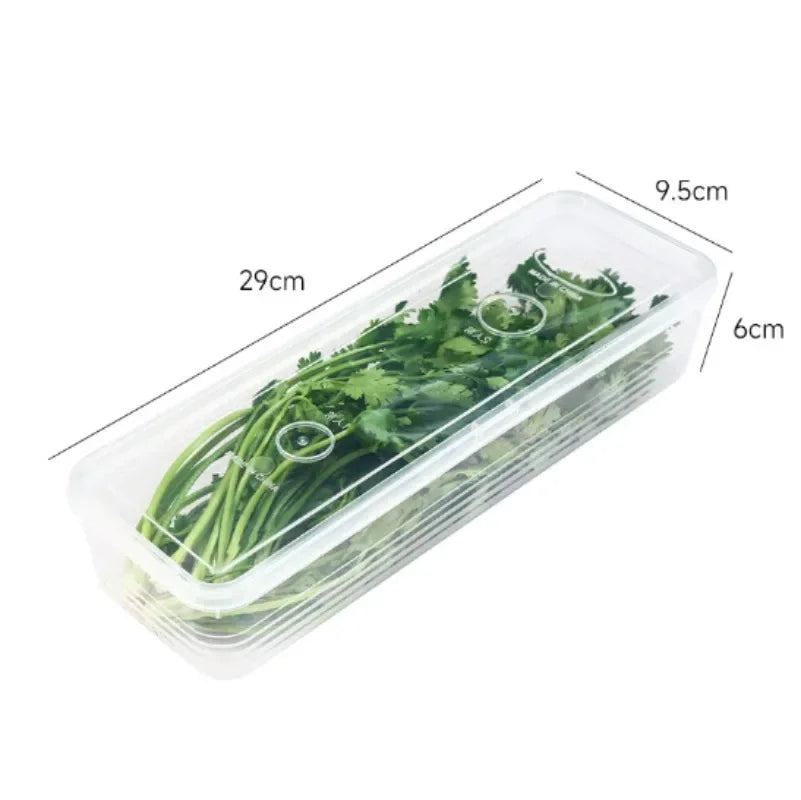 Transparent Herb & Scallion Fridge Storage Box | 1/3/5 Pack