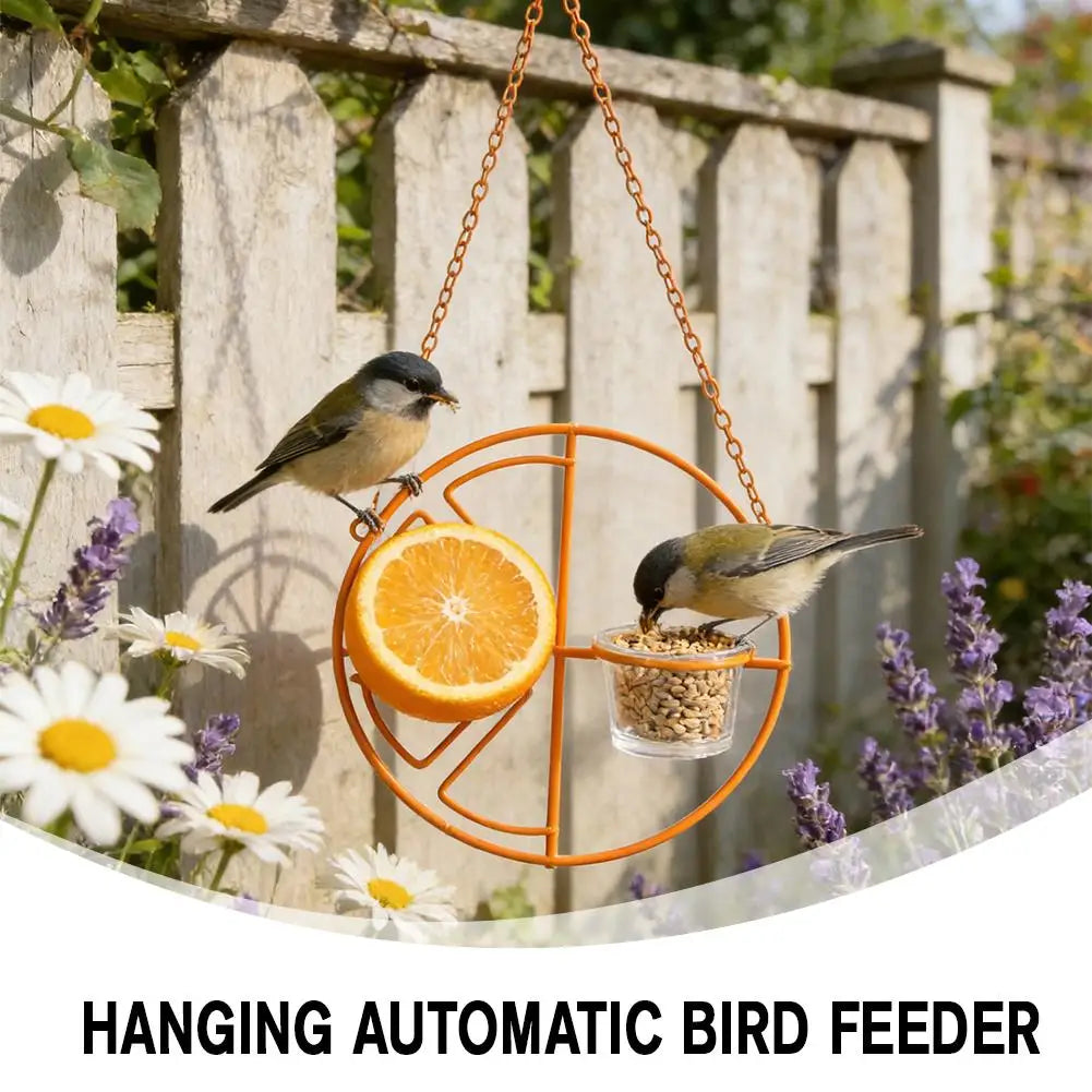 Oriole Bird Feeder Fruit Slice Design | Hanging Glass Cup