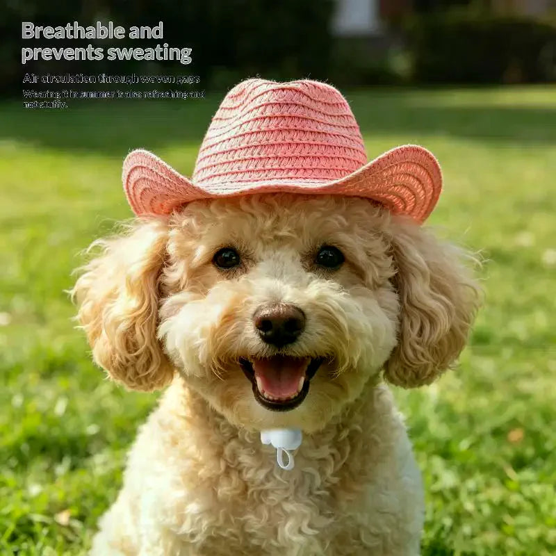 Mini Straw Pet Sun Hat for Cats & Dogs – UV Protection Cap
