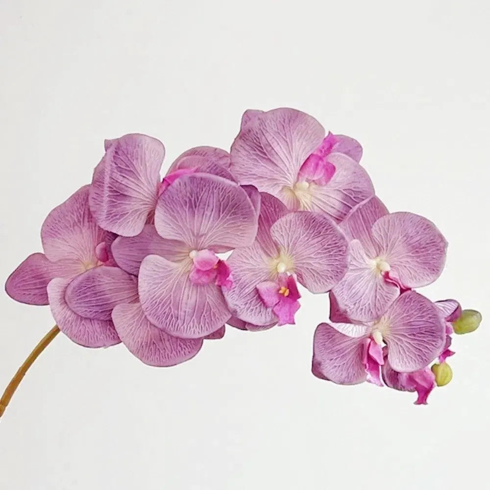 10-Head Artificial Butterfly Orchid Stem | Real Touch Phalaenopsis