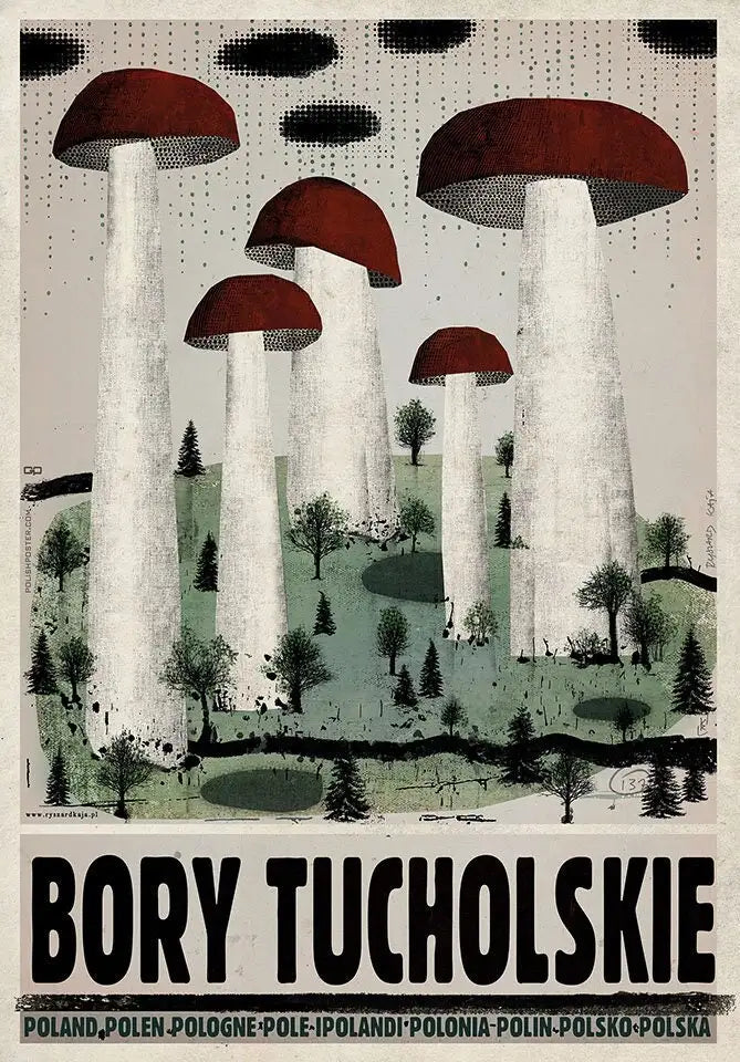 Retro Poland Podhale Kocie Góry Canvas Wall Art Print | Unframed