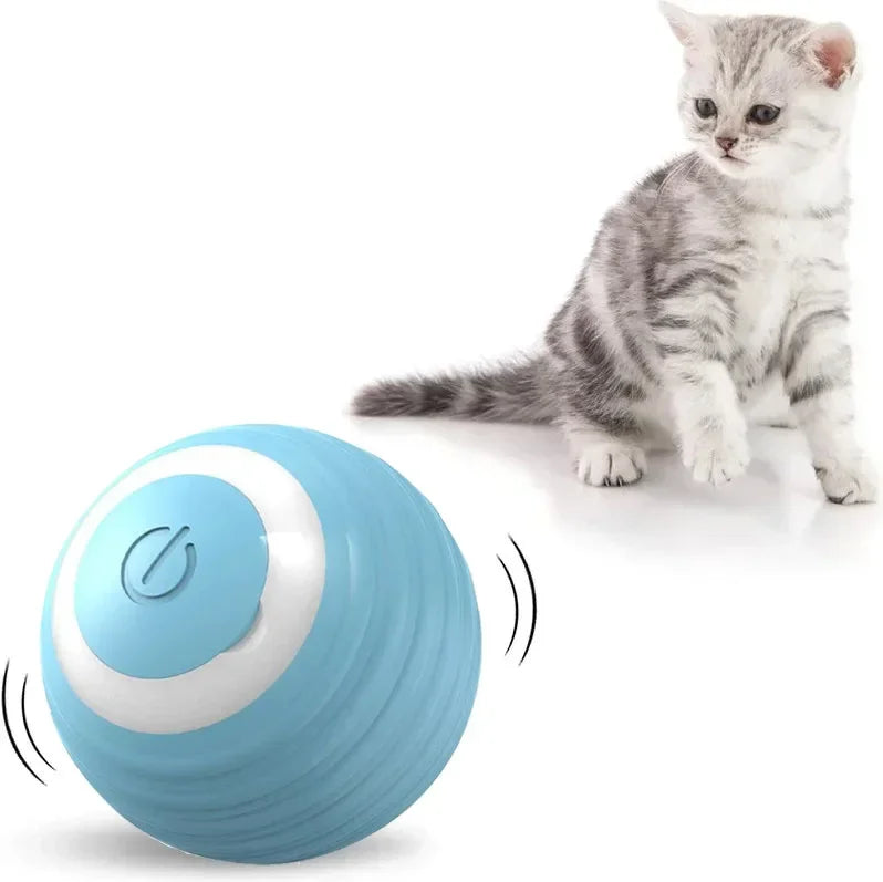 Electric Auto-Rolling Cat Ball Toy | USB Rechargeable Interactive