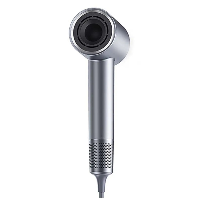Competitive Cost Factory Wholesale High Speed Negative Ionic Hair Dryer Powerful Hairdryer Professional Dry and Wet Hair Dryer Peaceful Pleasures Health and Wellness Silver 100V-240V EU Plug