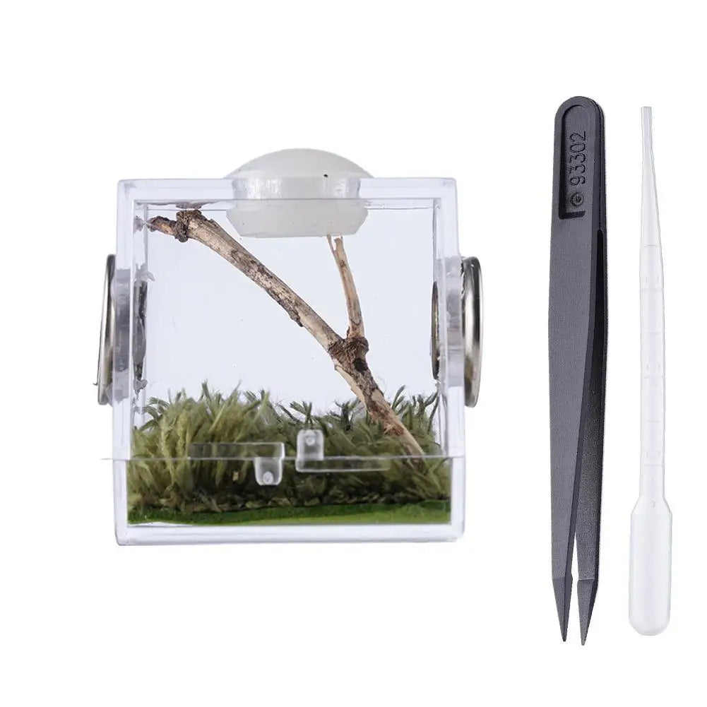 Small Reptile Feeding Box for Breeding and Feeding Insects Peaceful Pleasures Health and Wellness