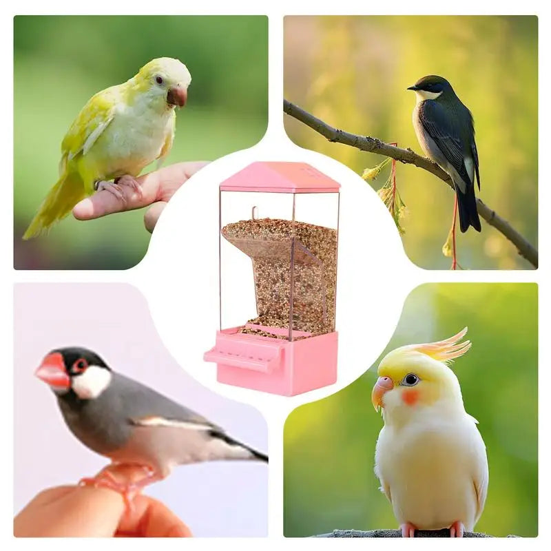 Automatic Bird Feeder Smart Clear Bird Feeder Dispenser Large Capacity Food Container Anti Spill Cage Accessories For Backyard Peaceful Pleasures Health and Wellness