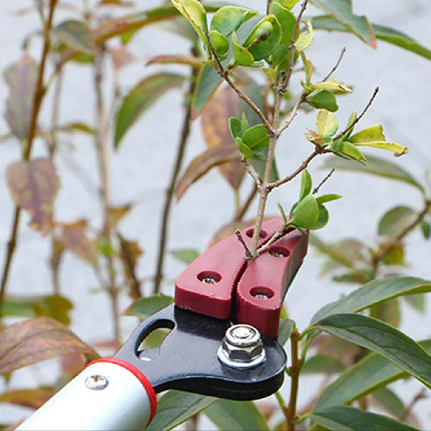 Extra Long Reach Pruner with Durable and Lightweight Aluminum Material Suitable for Courtyard Fruit Trees Peaceful Pleasures Health and Wellness