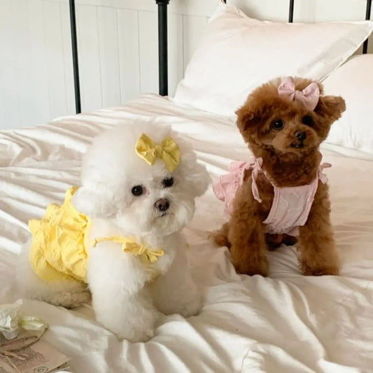 Cute Dog Cake Skirt Vest | Breathable Pet Summer Dress Dog Summer Dress Oasis Select