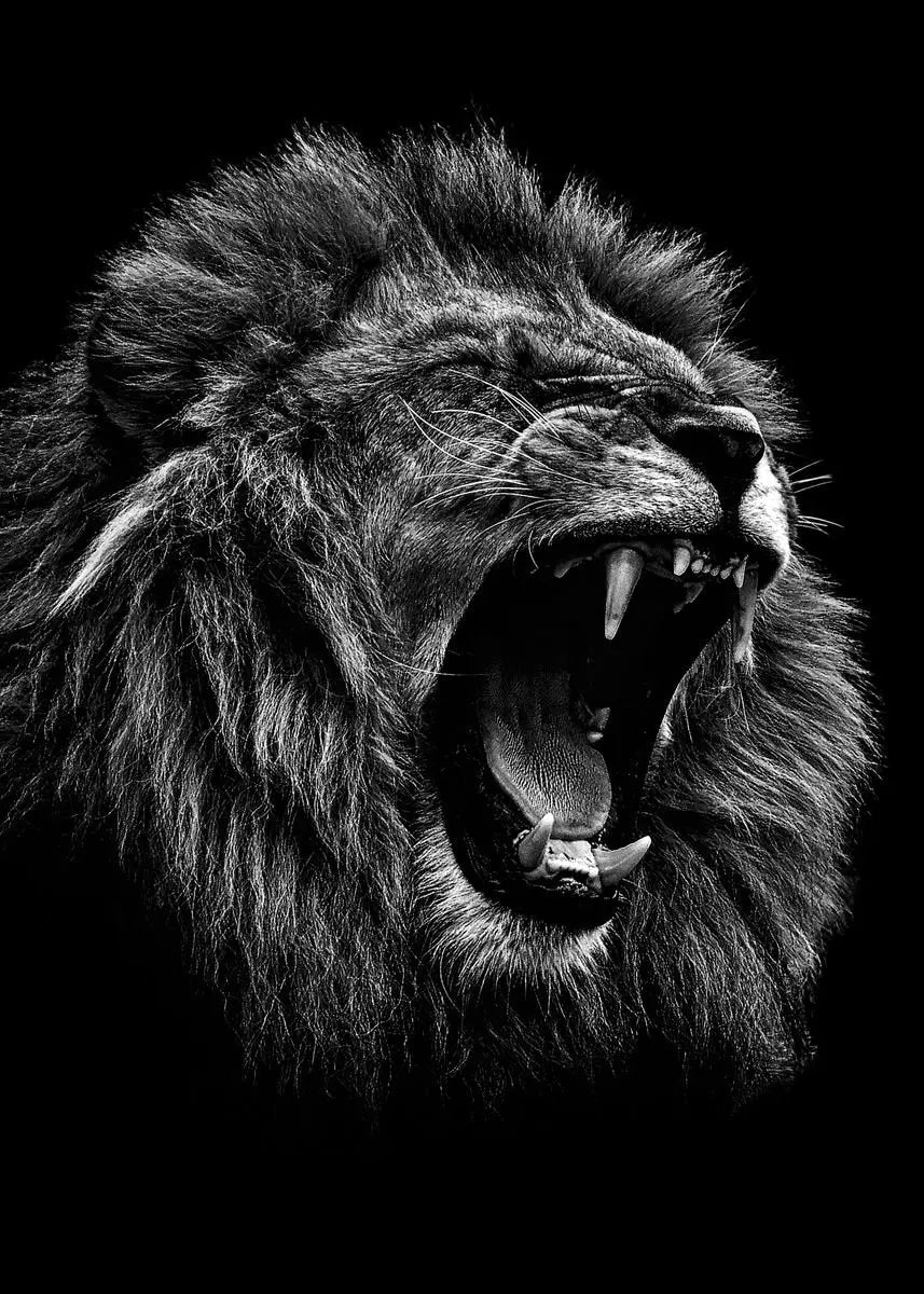 Black and White Animals Lions Family Elephant Giraffe Zebra Wall Poster Prints Canvas Painting Pictures for Kids Room Decor Peaceful Pleasures Health and Wellness 21 20x30cm Unframed