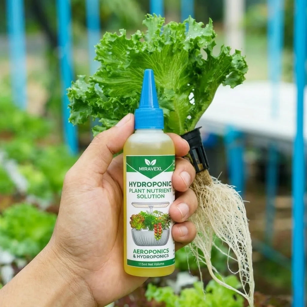 MIRAVEXL 115ml Hydroponic Liquid Plant Food Nutrients All-Purpose Slow Release Fertilizer For Indoor Flowers Garden Accessories Peaceful Pleasures Health and Wellness