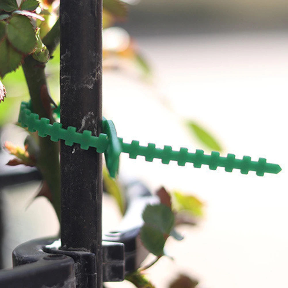 100-Pack Reusable Garden Plant Ties – Green Zip Ties Peaceful Pleasures Health and Wellness france