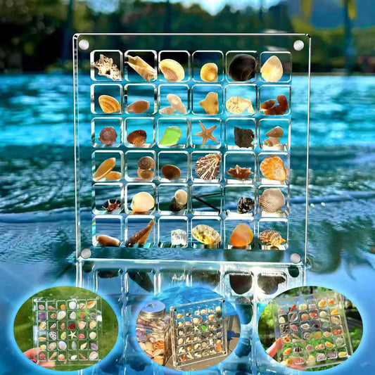 Small Shell Storage Box Mini Conch Micro Shell Specimen Collection High Transparency Box Acrylic Storage Box Peaceful Pleasures Health and Wellness