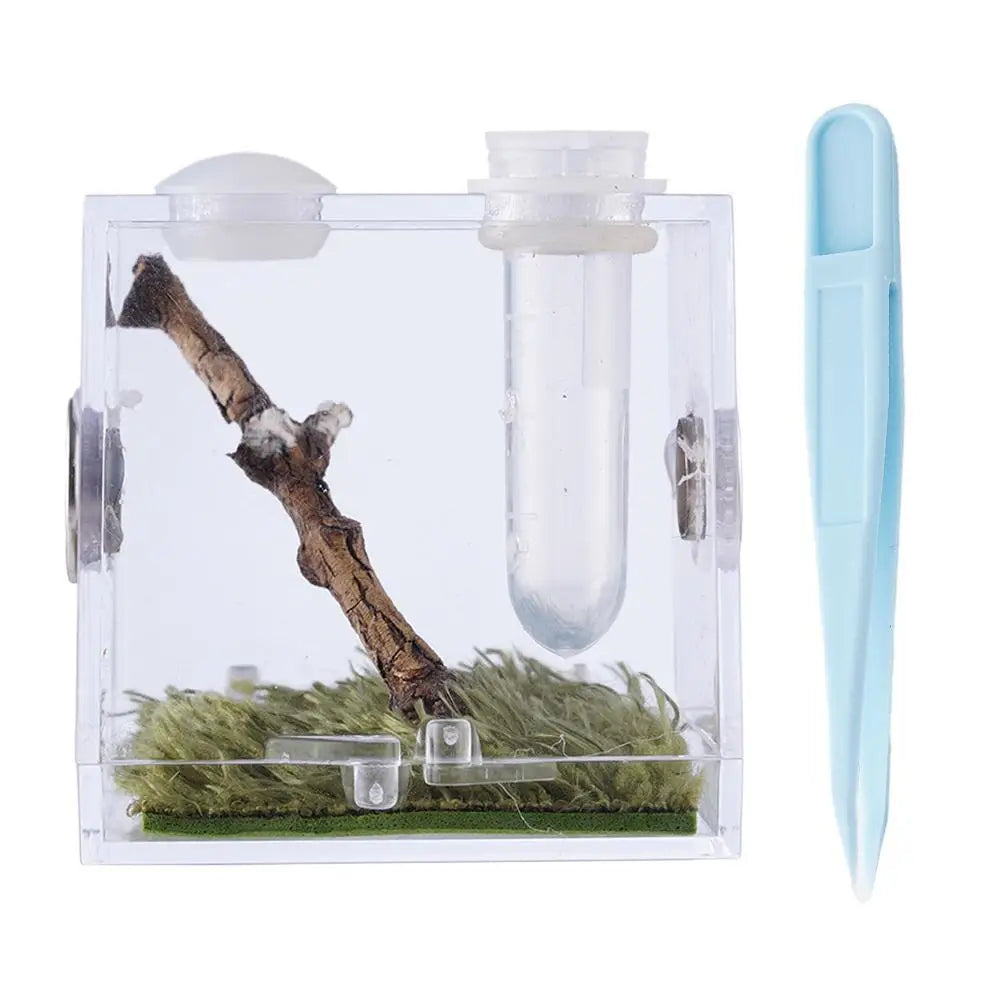 Small Reptile Feeding Box for Breeding and Feeding Insects Peaceful Pleasures Health and Wellness L