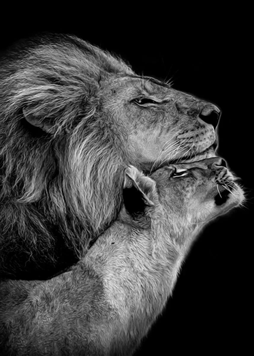 Black and White Animals Lions Family Elephant Giraffe Zebra Wall Poster Prints Canvas Painting Pictures for Kids Room Decor Peaceful Pleasures Health and Wellness 4 20x30cm Unframed