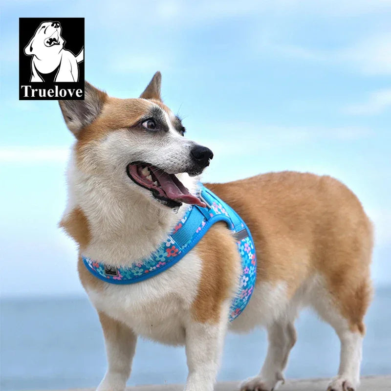 Truelove Easy to Take-on Dog Harness Soft Material Fashion Design Adjustable Reflective Pet Har TLH3013 TLH30131 Peaceful Pleasures Health and Wellness Malibu Blue- XXS China Mainland