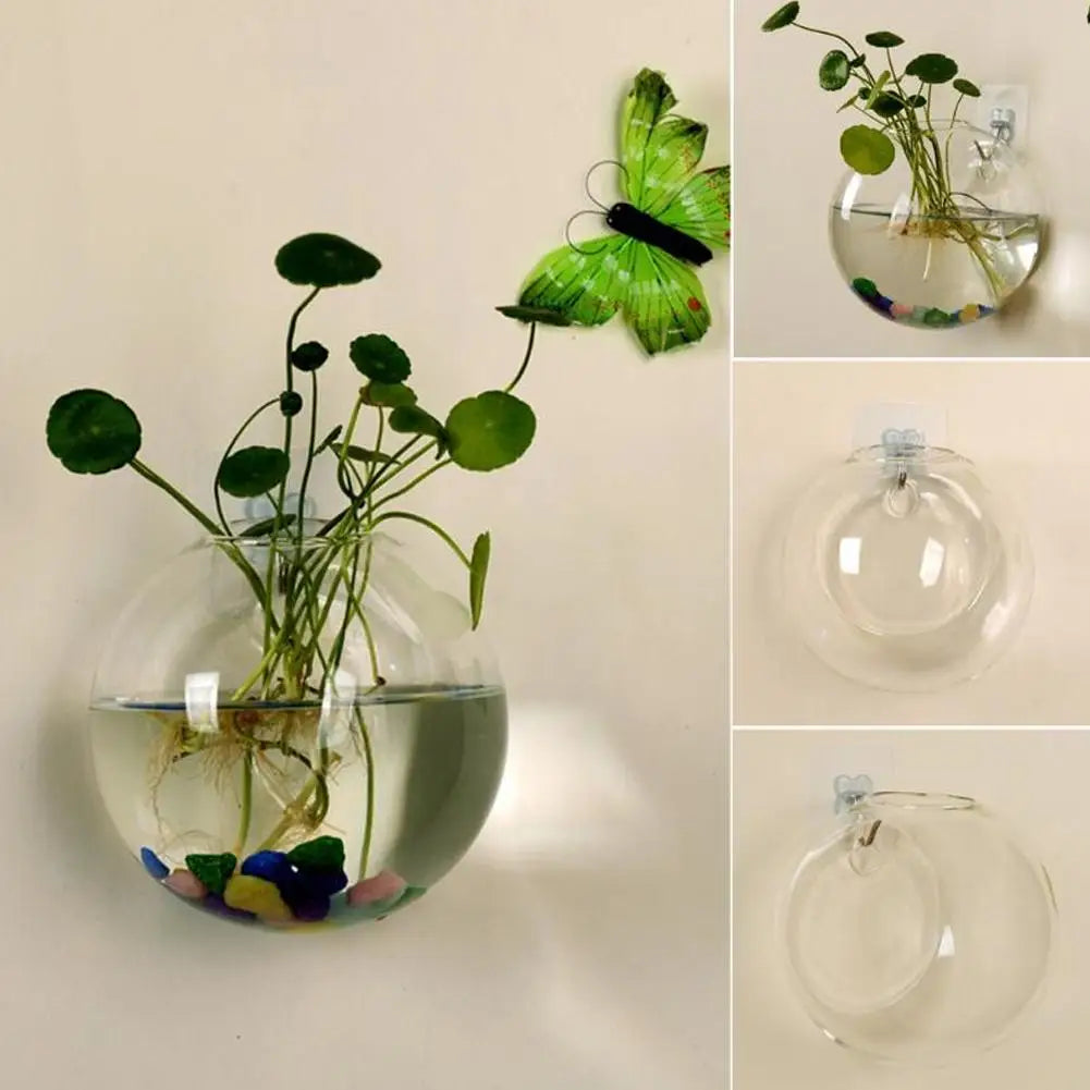 Wall Mounted Fish Tank for Creative Home and Office Peaceful Pleasures Health and Wellness