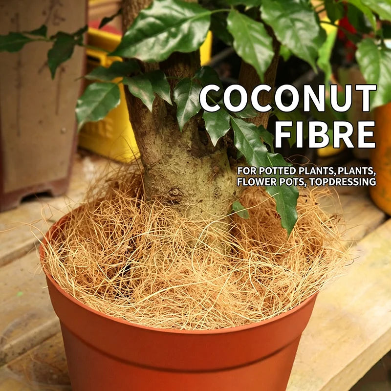 Natural Coconut Husk Fiber – Plant Cover, Bird Nest & Reptile Bedding