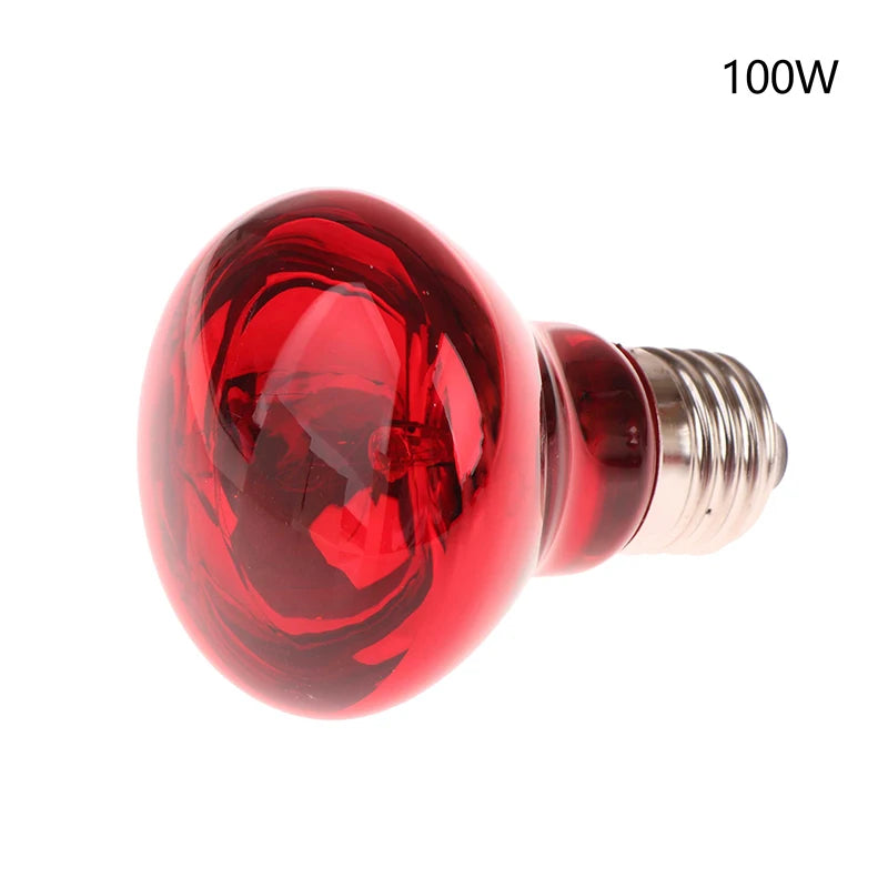 Reptile UVA Heating Bulb E27 | 25W–100W Basking & Night Heat