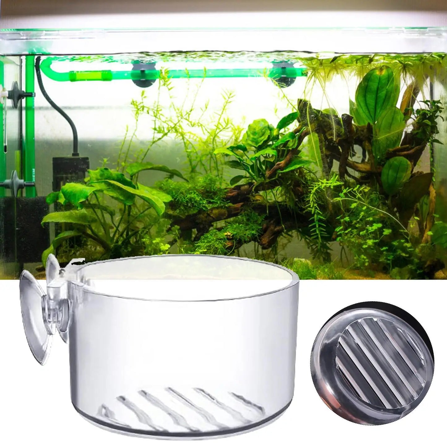 Acrylic Aquarium Plant Cup with Suction Holder | Fish Tank Pot
