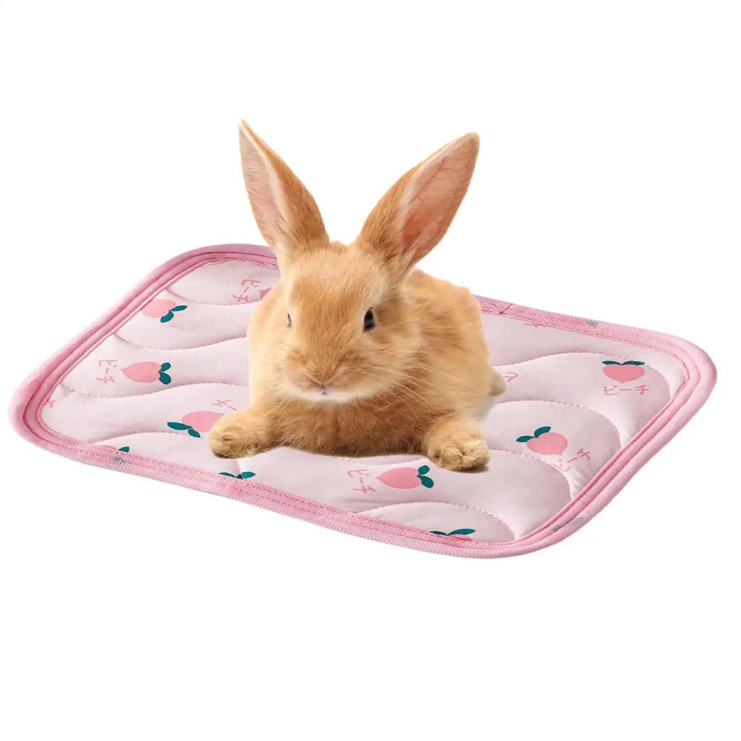 Pet Cooling Mat – Ice Silk Bed for Dogs, Cats & Small Pets