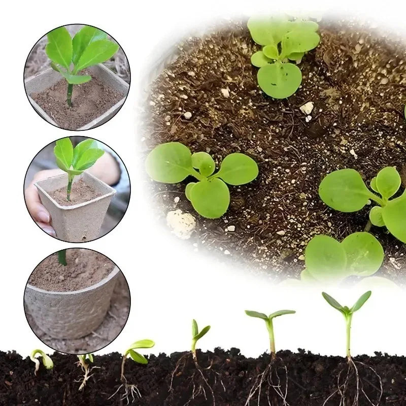 Biodegradable Peat Pots Seed Starter Cups with Drainage – 20/40pk