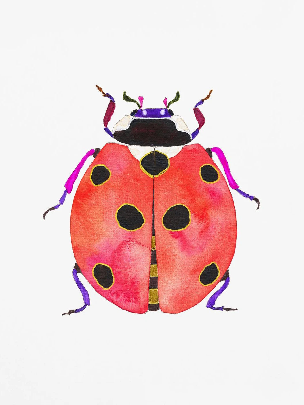 Watercolor Insect Canvas Print | Nursery & Kids Room Wall Art