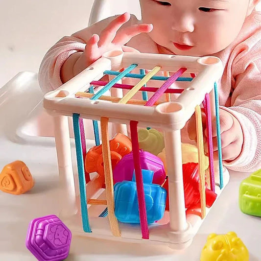 Montessori Baby Shape Sorting Toy – Colorful Blocks 18M+ Baby Sorting Toy Oasis Select