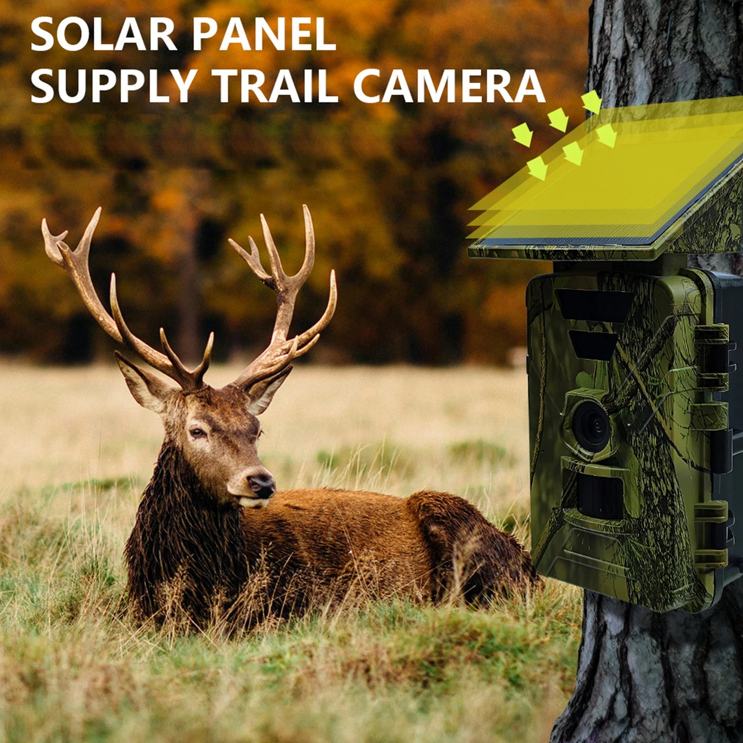 Wifi Hunting Camera Solar Trail 8K 60MP Wildlife IP66 Waterproof