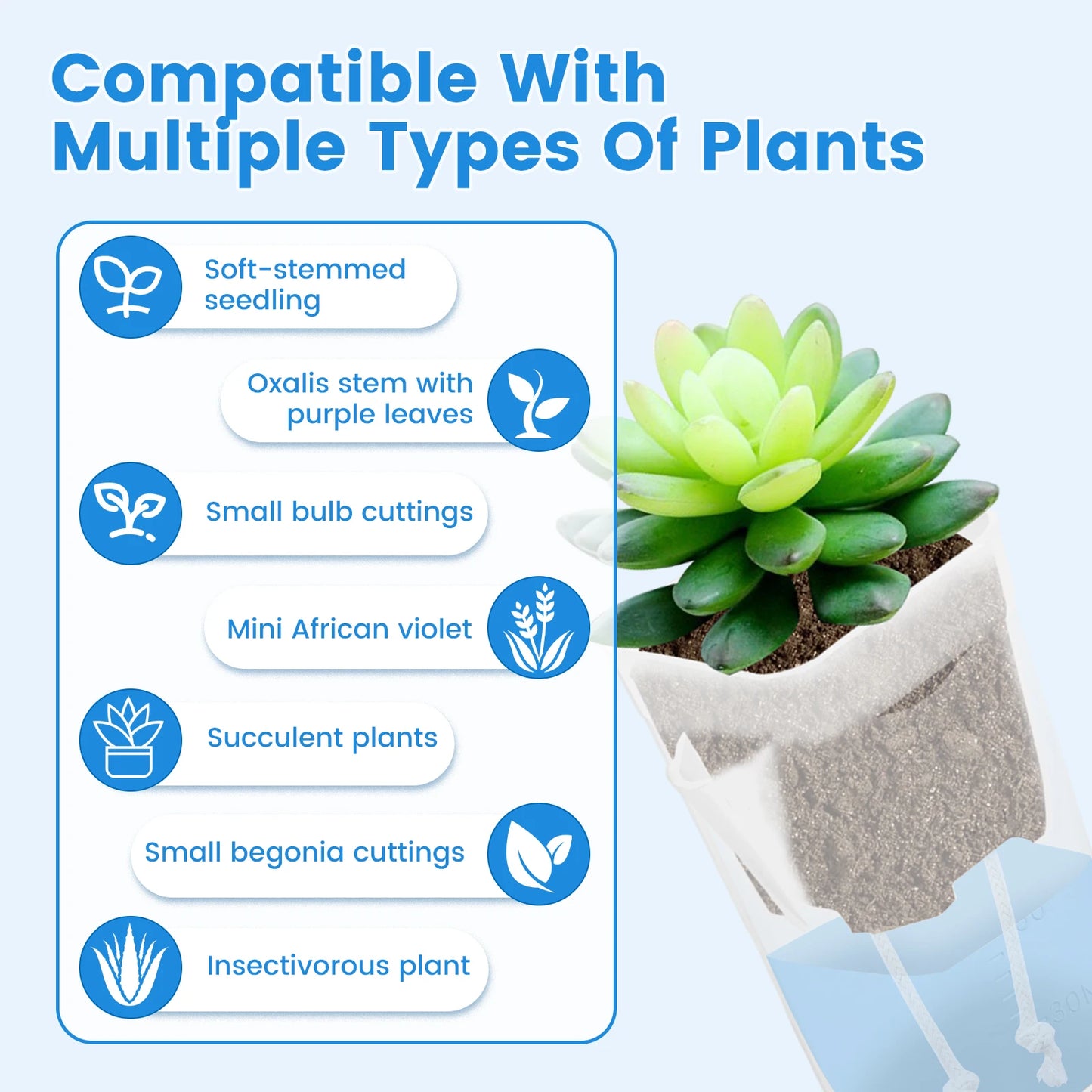 12-Pack Self Watering Mini Pots 2/2.5 Inch | Transparent Plastic
