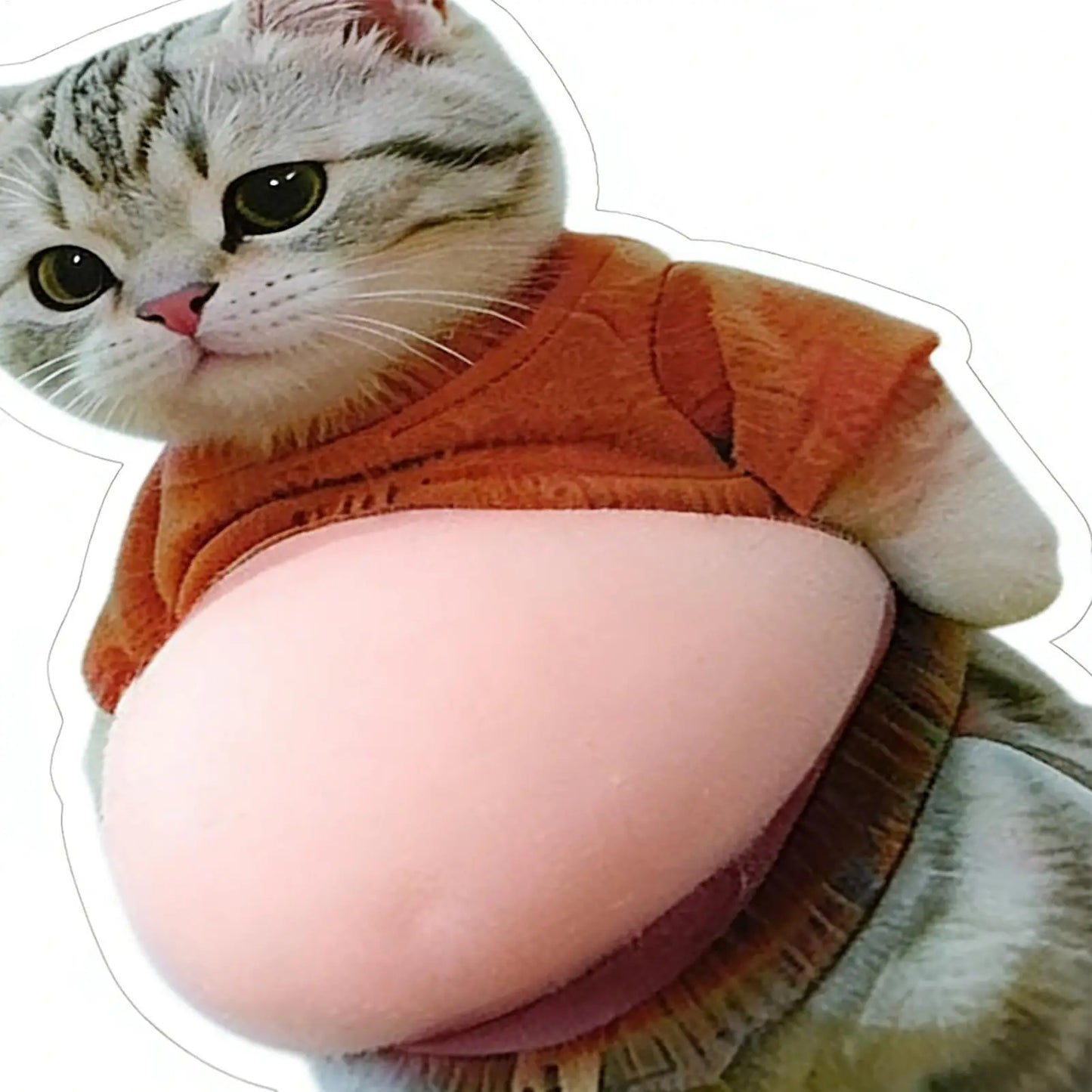 3D Cat Belly Squeeze Sticker – Cartoon Phone & Home Decor