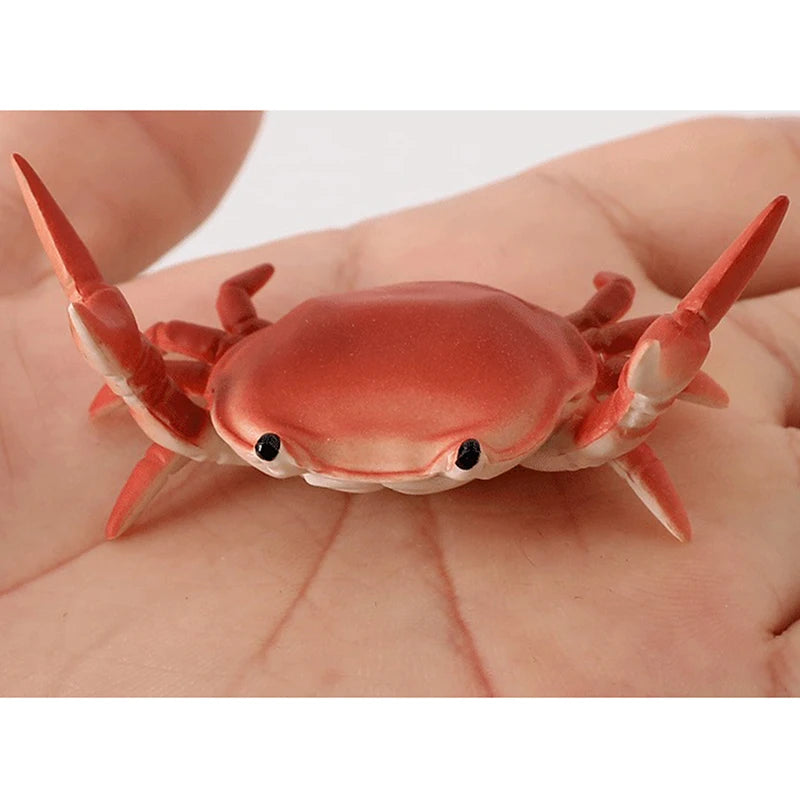 Creative and Cute Crab Pencil Holder Weight Lifting Pencil Holder Convenient Storage Phone Holder Decoration Model Peaceful Pleasures Health and Wellness