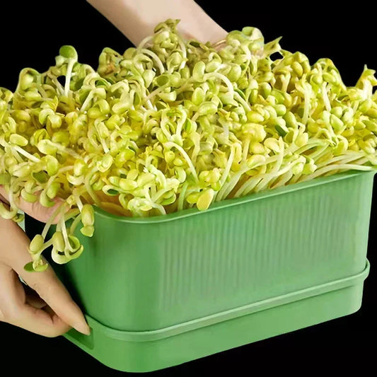 Plastic Seedling Nursery Pots & Germination Tray | Garden Seedling Nursery Tray Oasis Select
