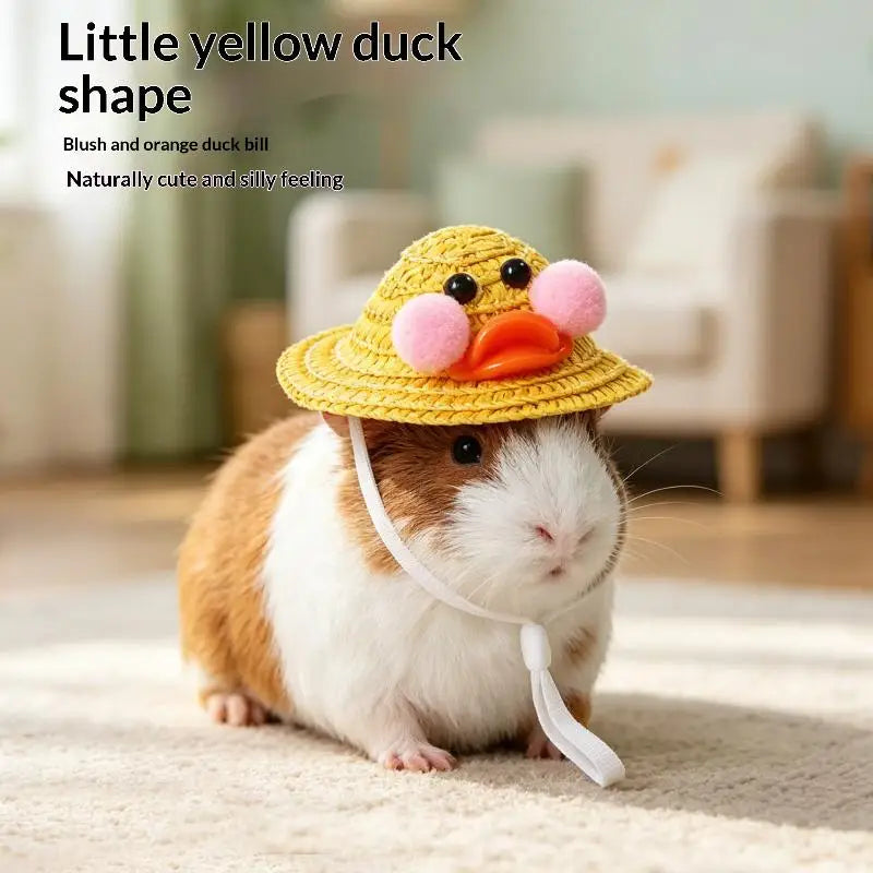 Cute Crochet Hat for Hamster, Guinea Pig & Small Pets