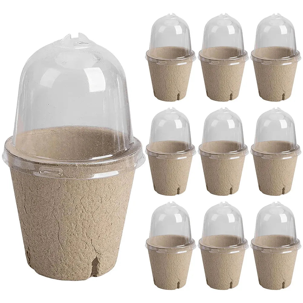 10Pcs Seedling Cup Seedling Pot Transparent Lid Greenhouse Breeding Box Biodegradable Plant Growing Cup Versatile for Gardening Peaceful Pleasures Health and Wellness 8cm Side Holes