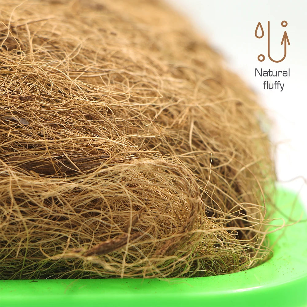 Natural Coconut Husk Fiber 50g–500g | Plants & Reptile Bedding