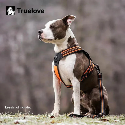 Truelove PU Leather Escape-Proof Dog Vest Harness | Anti-Pull | TLH5551 Pet Harnesses Truelove