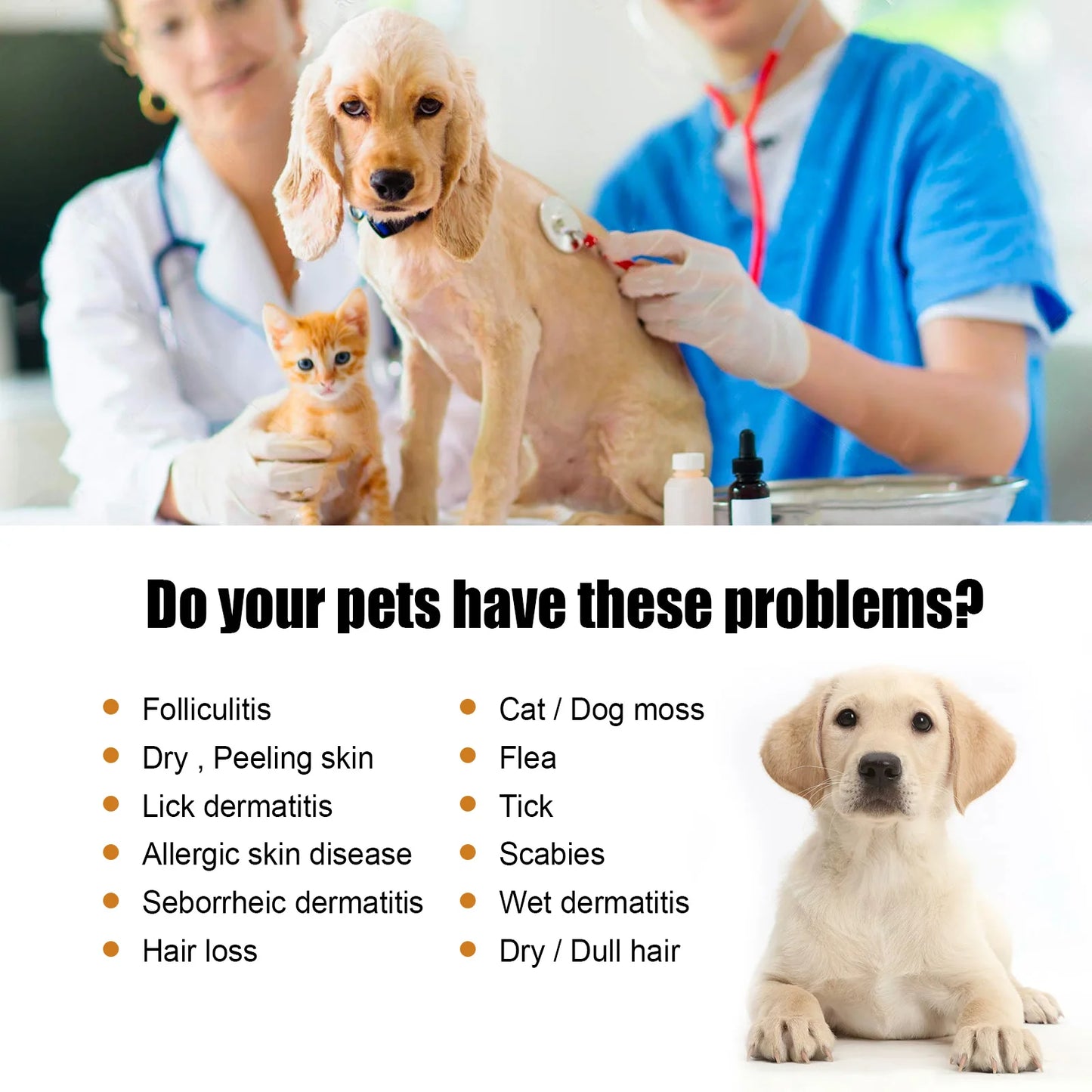 Yegbong Pet Hair Care Essence – Soothe Itching & Shine Coat