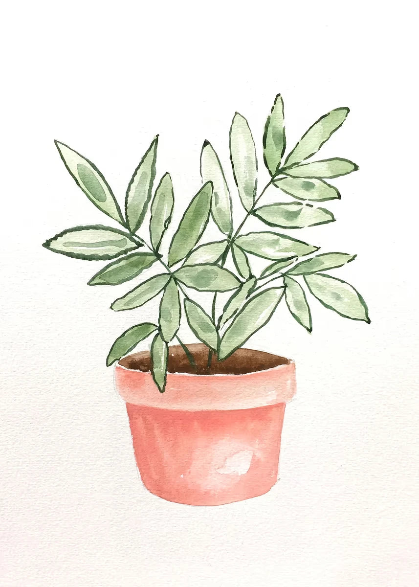 Plant Potted Watercolor Poster Family Garden Houseplant Botanical Canvas Printing Wall Art Picture for Living Room Home Decor Peaceful Pleasures Health and Wellness DM92-5 20x30cm Unframed