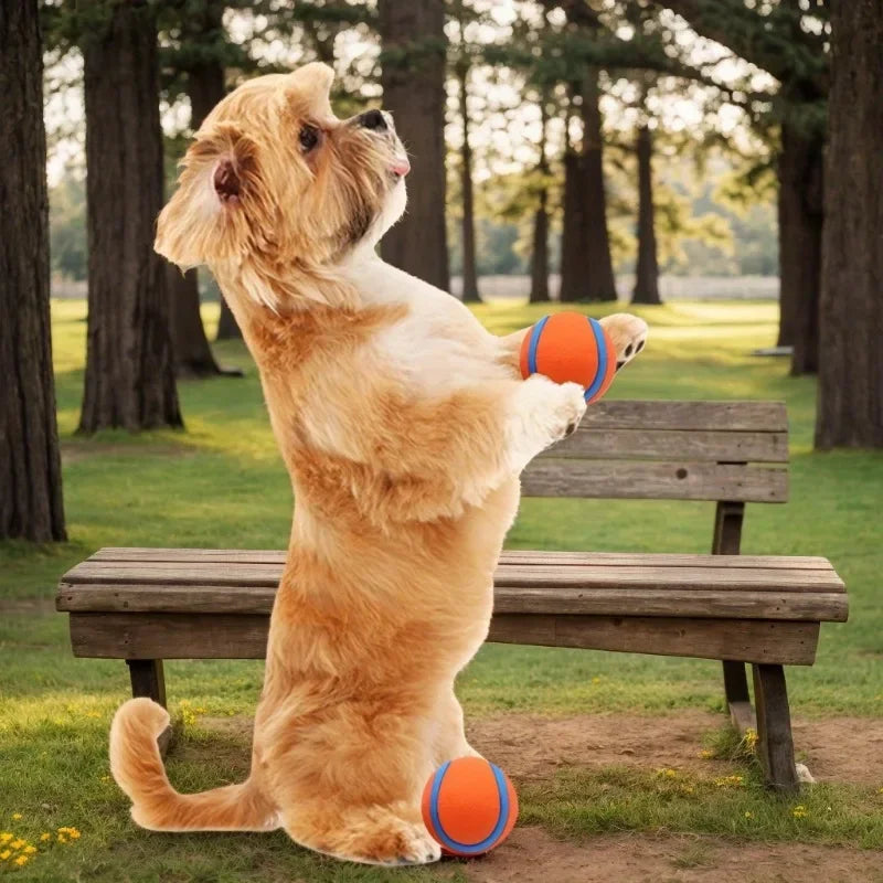 Solid Rubber Dog Fetch Ball – Tough Chew Toy All Dog Sizes