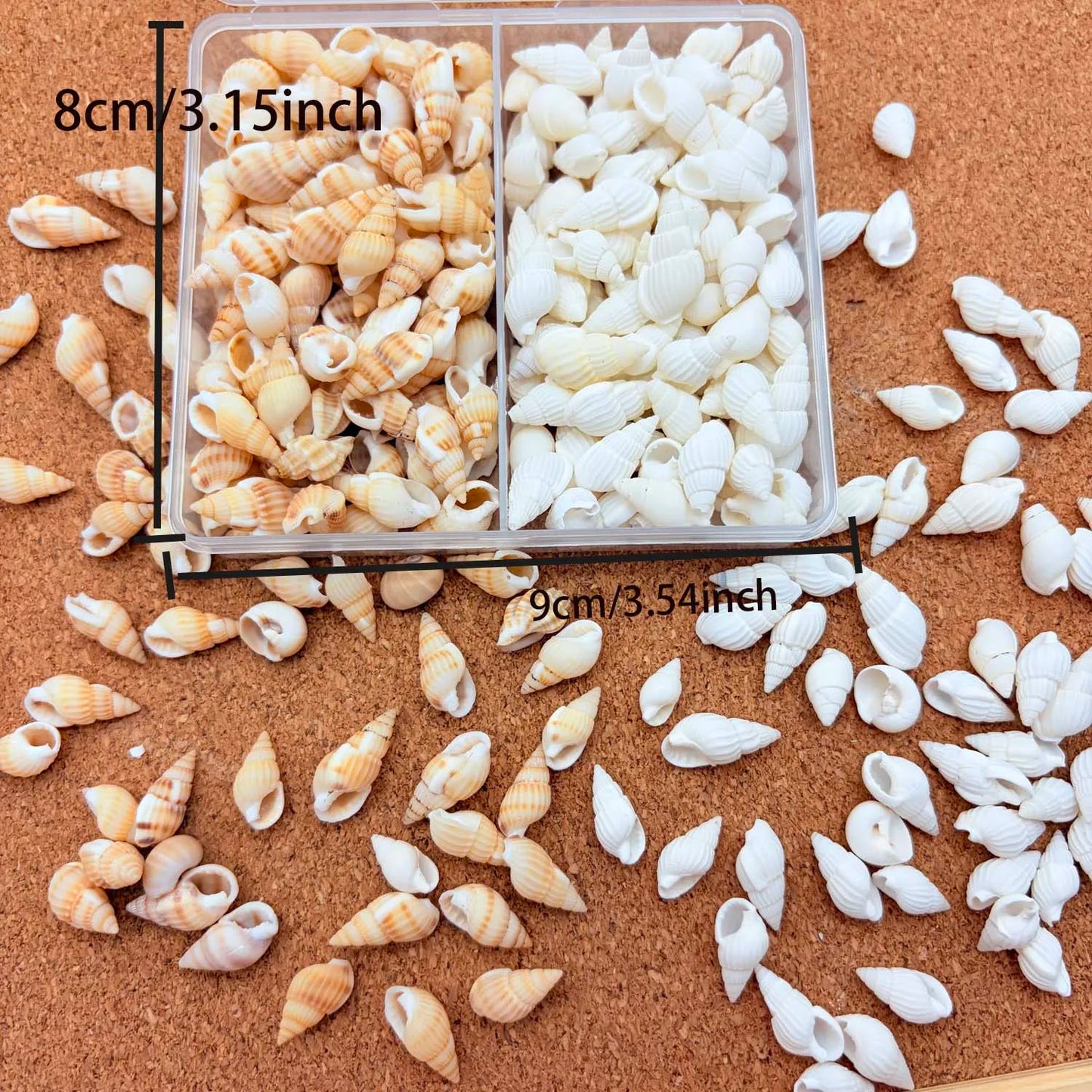 Natural Seashells Mix – Tiny Shells, Conch & Starfish for Crafts
