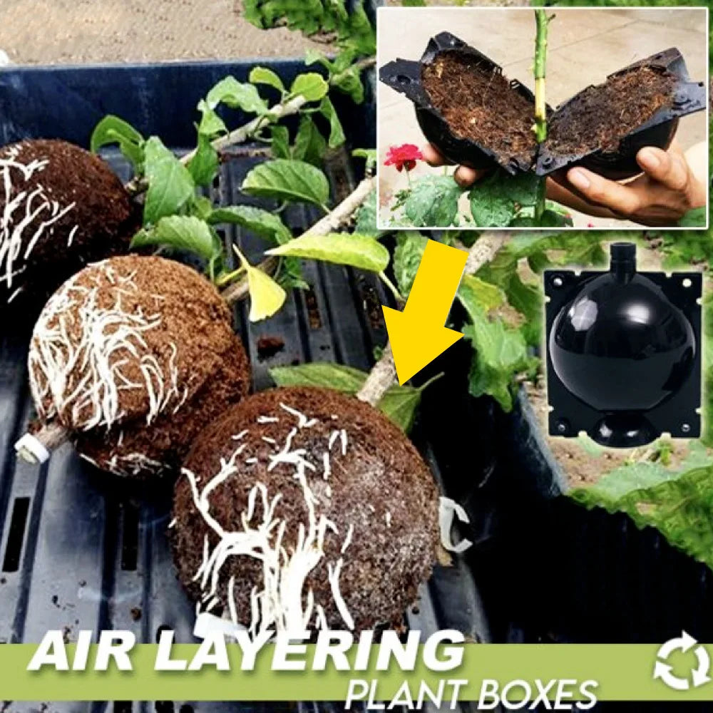 Reusable Plant Rooting Balls – Air Layering Propagation Kit